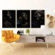 Eleganta Feminina - Set 3 Tablouri
