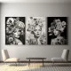 Femei si Flori - Set 3 Tablouri