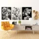 Femei si Flori - Set 3 Tablouri