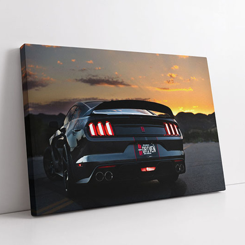 Forta la Asfintit - Tablou auto Forta la Asfintit - Tablou auto
