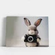 Tablou Cameră Copii Iepurașul Fotograf – Canvas Premium