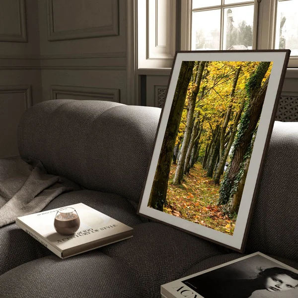 Tablou peisaj înrămat - Cararea Uitata, pentru living, hol sau dormitor