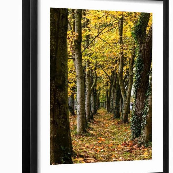 Tablou peisaj înrămat - Cararea Uitata, pentru living, hol sau dormitor