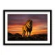 Tablou cu lei - Lion King, tablou cu animale înrămat, forța, eleganța și energia naturii direct în spațiul tău