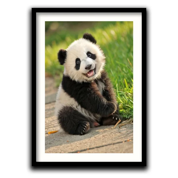 Tablou urs panda - Panda Baby, tablou cu animale înrămat, decor modern și relaxant