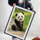 Tablou urs panda - Panda Baby, tablou cu animale înrămat, decor modern și relaxant