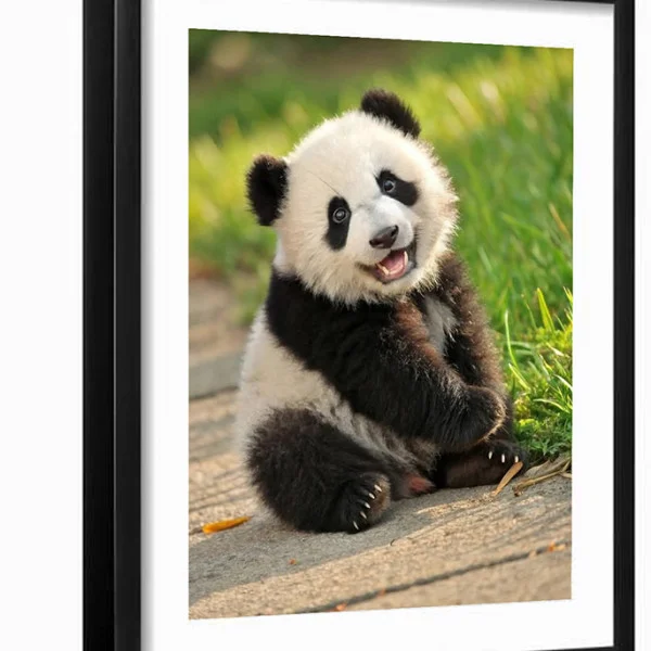 Tablou urs panda - Panda Baby, tablou cu animale înrămat, decor modern și relaxant