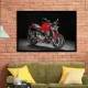 Tablou Motocicletă Ducati Monster Înramat