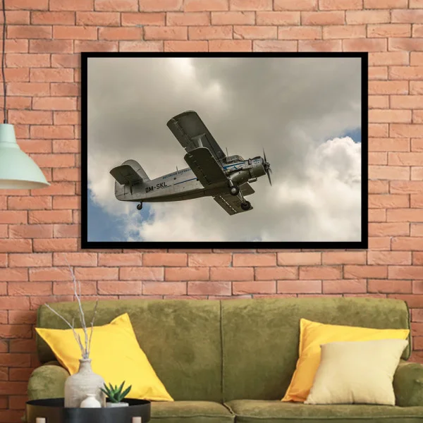 Tablou Avion Antonov An-2 Înramat