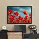 Tablou flori cu ramă - Maci Înfloriți, tablou cu flori modern, perfect pentru living, birou, hol