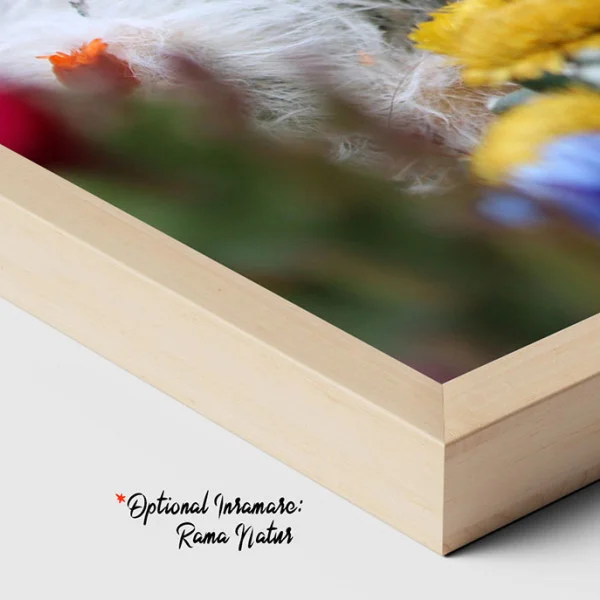Colectie de Flori de Cactus - Tablou floral