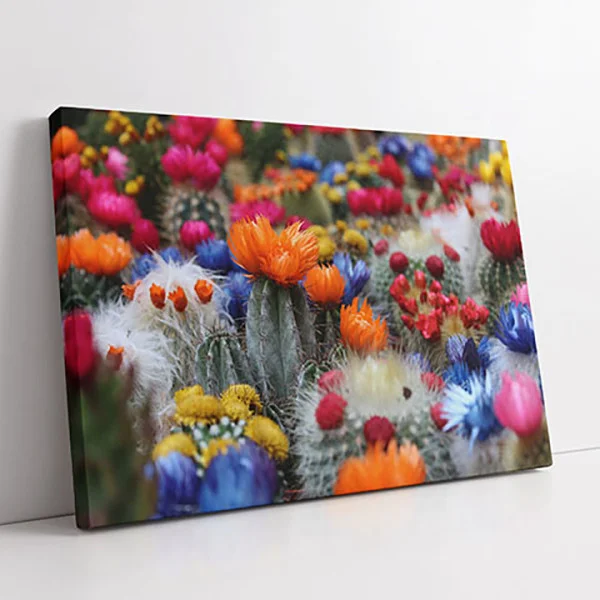 Colectie de Flori de Cactus - Tablou floral