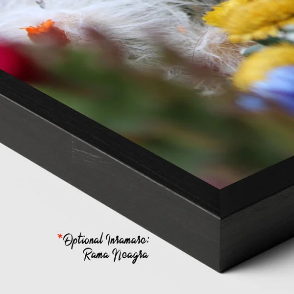 Colectie de Flori de Cactus - Tablou floral