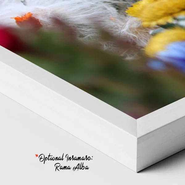 Colectie de Flori de Cactus - Tablou floral