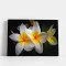 Tablou cu Flori pentru Dormitor - Plumeria Alb cu Galben, Eleganță Exotică