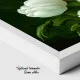 Buchet de Lalele Rosii si Albe - Tablou floral