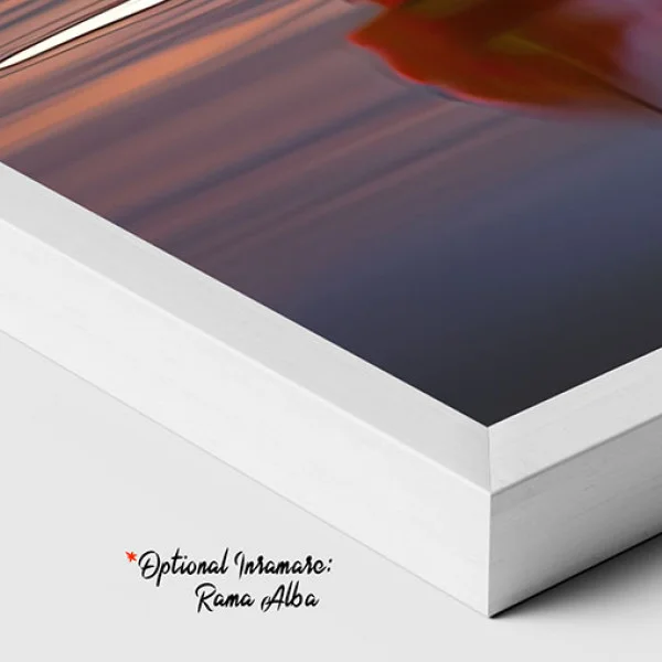 Capriciu cu Nuferi - Tablou cu flori