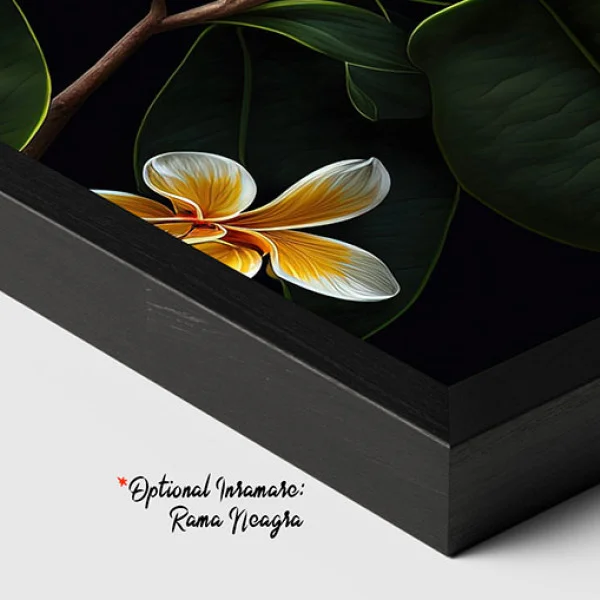Dimineti de vara - Tablou floral