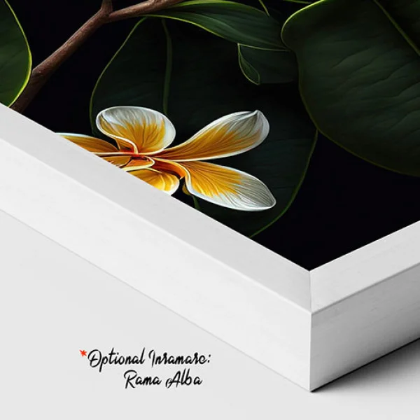 Dimineti de vara - Tablou floral