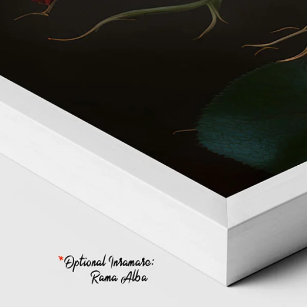Tablou canvas cu flori - Roșu Înflorit, piesă de rezistență cu accent cromatic pasional pentru livinguri luxury sau saloane elegante