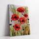 Blooming Poppies - Tablou cu flori