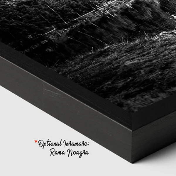 Dramatic Landscape - Tablou peisaj