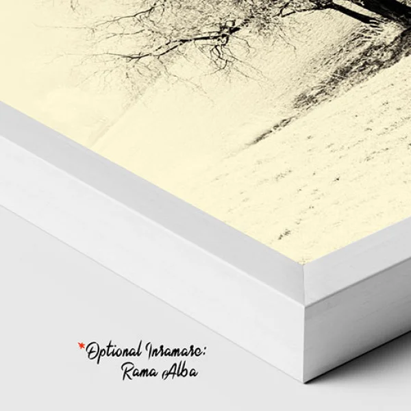 Carari Neumblate - Tablou peisaj