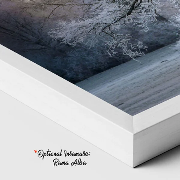 Imbratisarea Iernii - Tablou peisaj