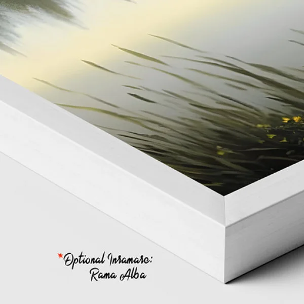 Creatie Verde - Tablou peisaj
