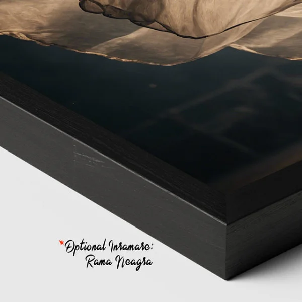 Dansul Ielelor - Tablou urban 