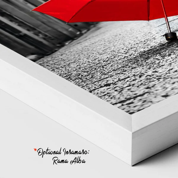 O Umbrelă Roșie - Tablou Alb Rosu