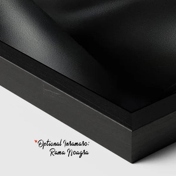 Privirea Nevăzută - Tablou Negru Auriu
