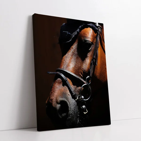 Horse Power - Adriana Pana