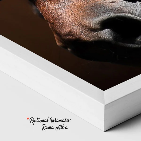 Horse Power - Adriana Pana
