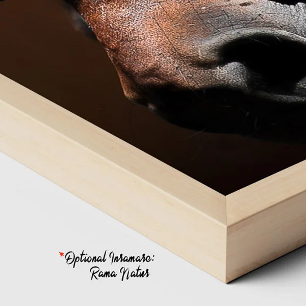 Horse Power - Adriana Pana