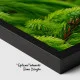 Verde Crud - Adriana Pana