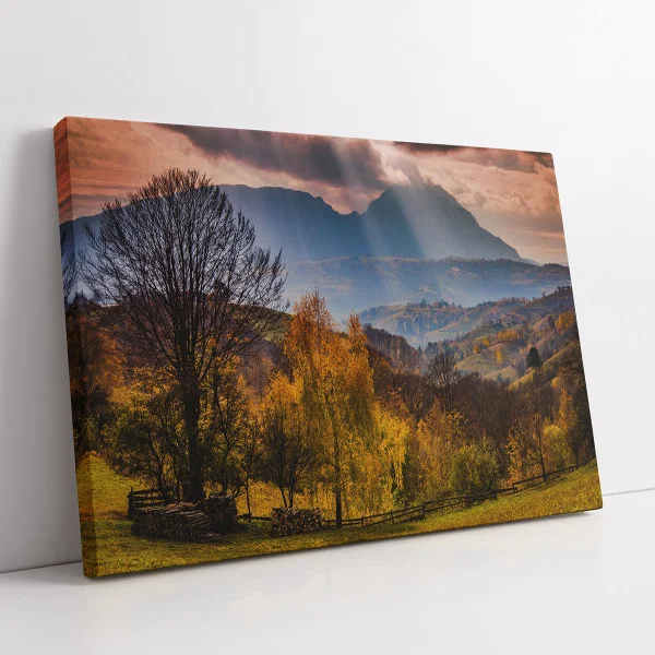 Divina Natura - Cami Voinea