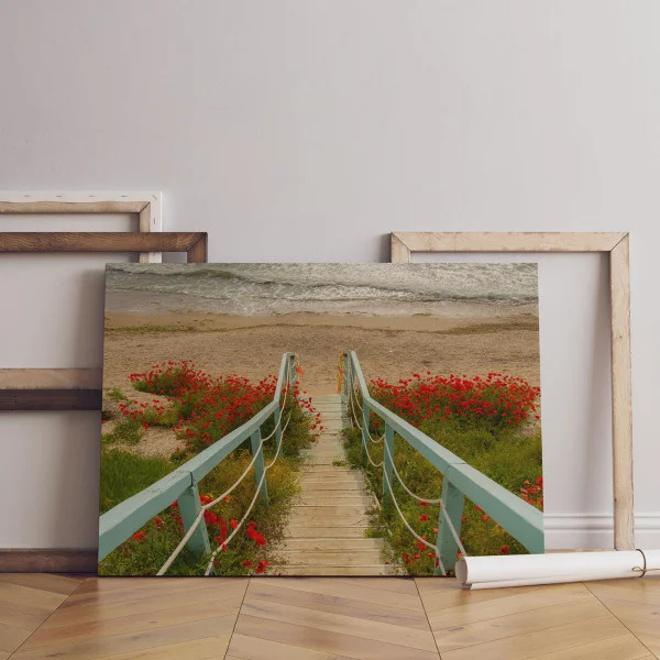 Drumul catre Mare - Cami Voinea