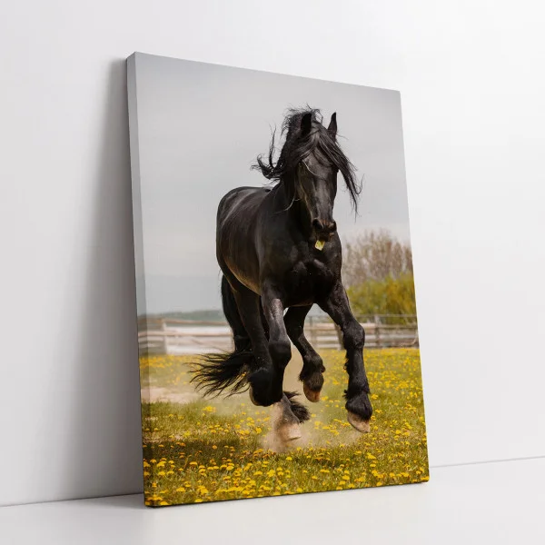 Pegasus - Cami Voinea
