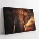 Elefant african - Tablou Animale Salbatice