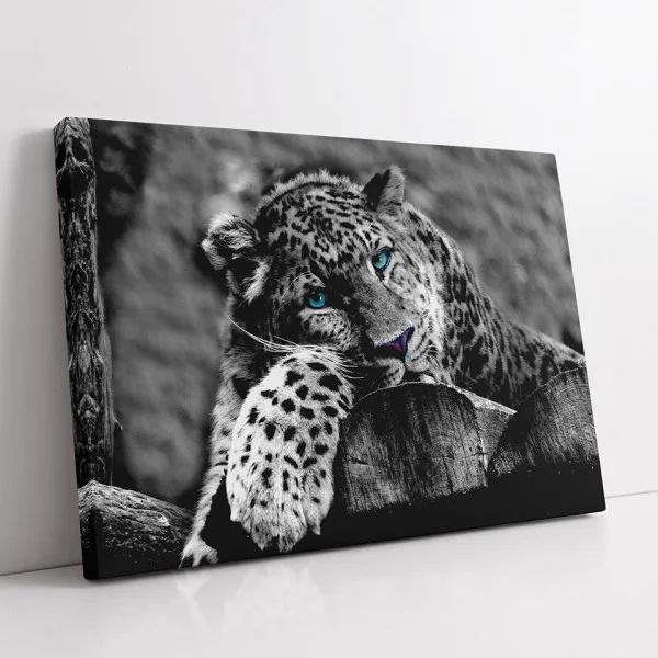 Leopard cu ochi albastri - Tablou Animale Salbatice