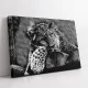 Leopard cu ochi albastri - Tablou Animale Salbatice