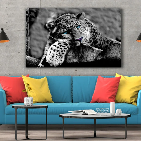 Leopard cu ochi albastri - Tablou Animale Salbatice