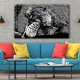 Leopard cu ochi albastri - Tablou Animale Salbatice