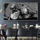 Leopard cu ochi albastri - Tablou Animale Salbatice