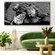 Leopard cu ochi albastri - Tablou Animale Salbatice