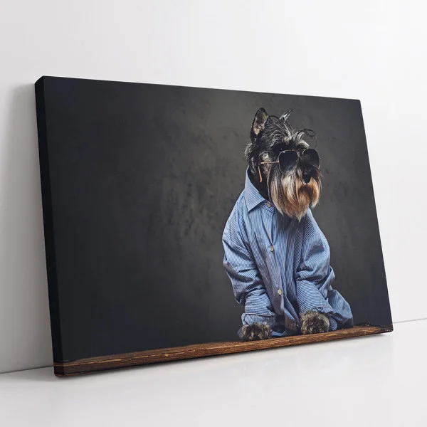 Schnauzer elegant - Tablou Caini