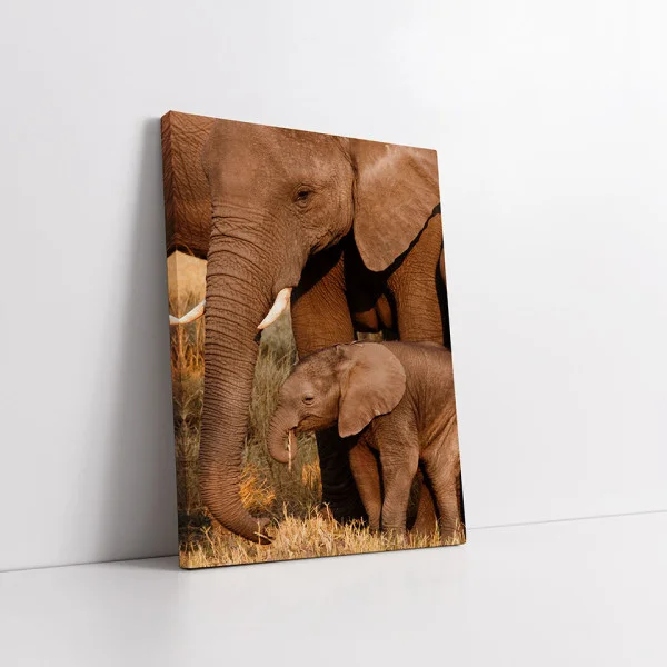 Familie de elefanti - Tablou Animale Salbatice