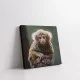 Cute monkey - Tablou Animale Salbatice