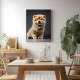 Chow-chow adorabil - Tablou Caini